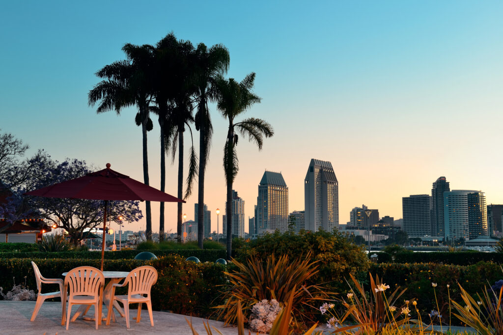 Best Miami fun activities for Families and Solo Travelers